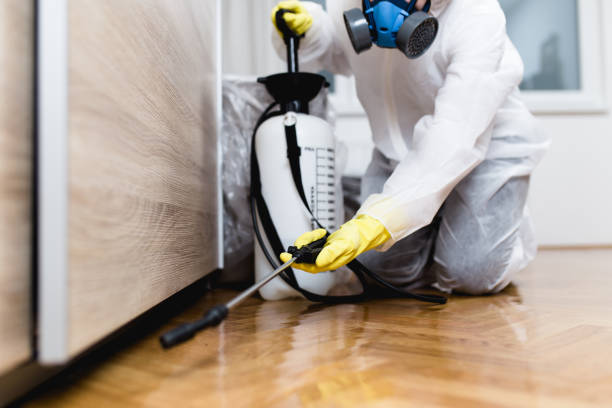 Best Pest Control for Businesses  in West Tawakoni, TX