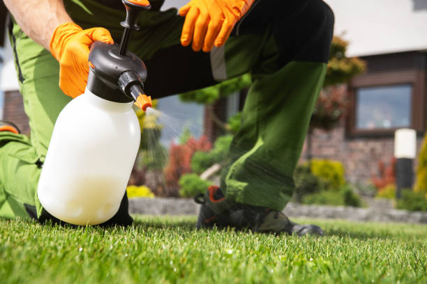 Best Mosquito Control Services  in West Tawakoni, TX