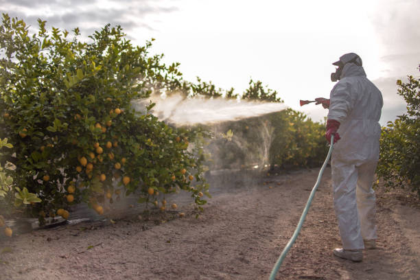 Best Pest Control Cost  in West Tawakoni, TX