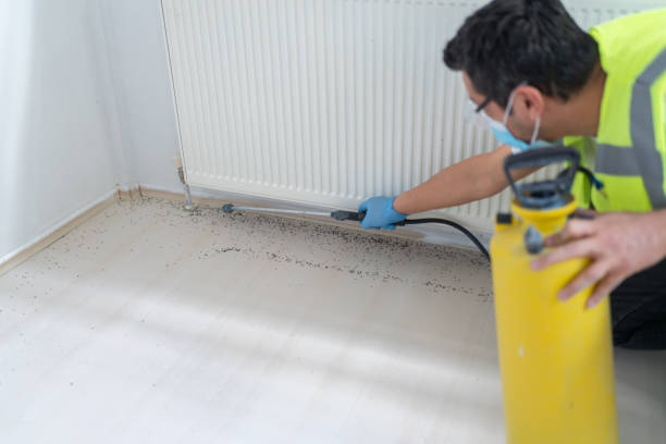 Best Best Pest Control Companies  in West Tawakoni, TX